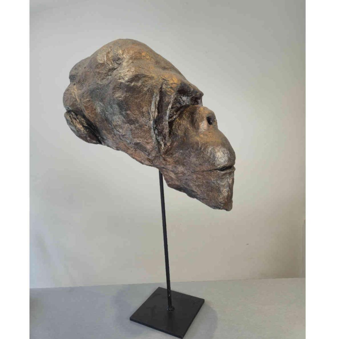 Chimp